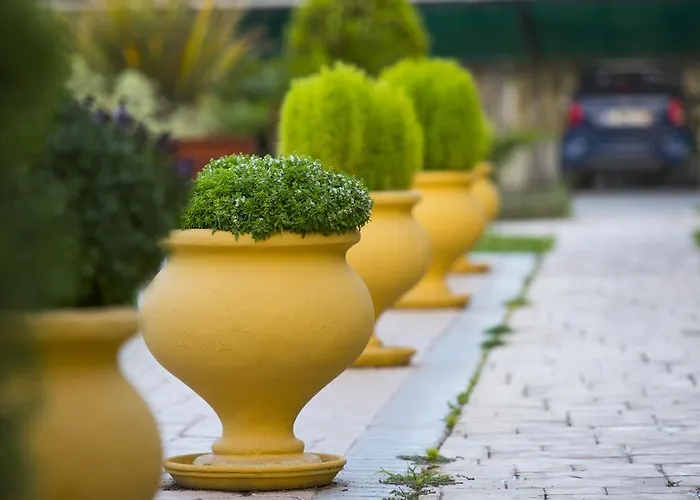 Vakis Ξενοδοχείο με διαμερίσματα